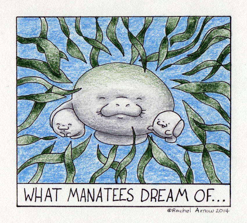 What Manatees Dream of