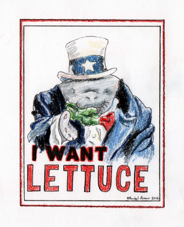 Life, Liberty, & the Pursuit of Lettuce