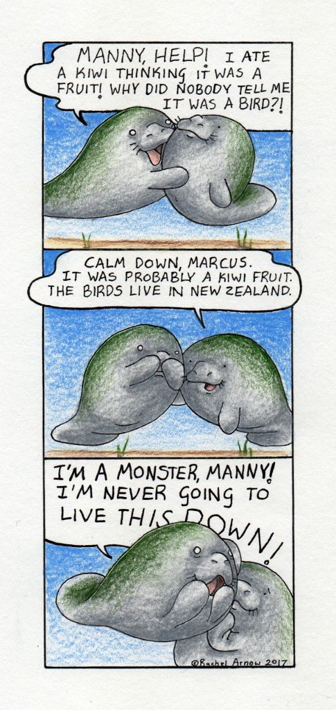 Kiwi – Man versus Manatee