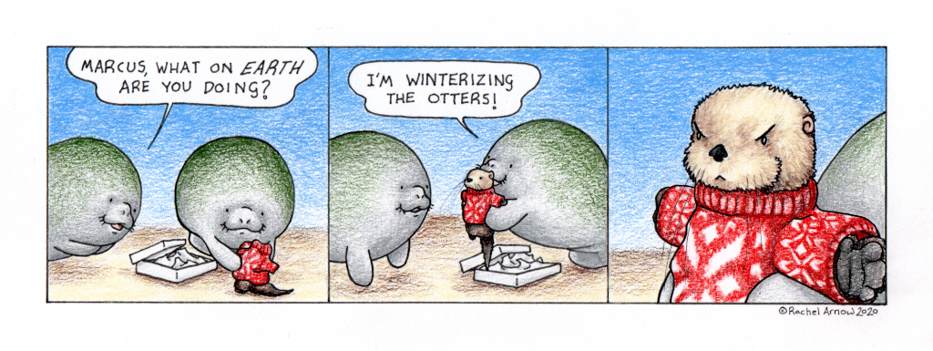 Winterizing
