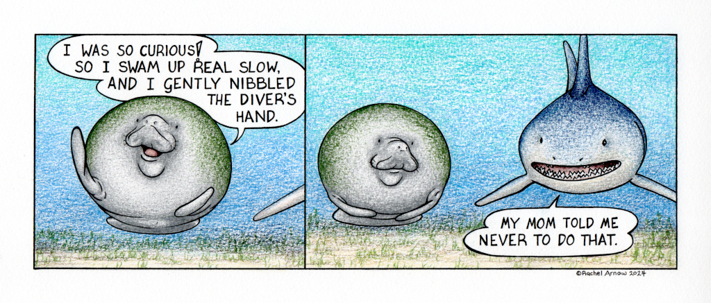 Man versus Manatee II