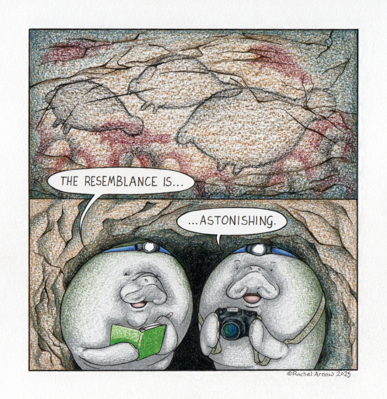 Cave Art