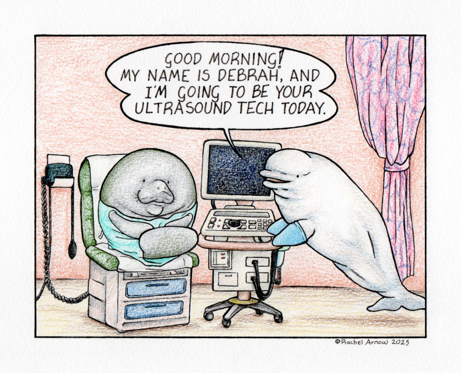 Ultrasound
