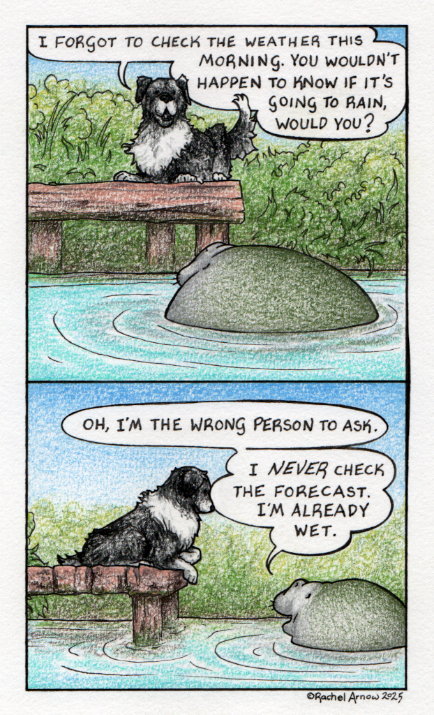 Forecast