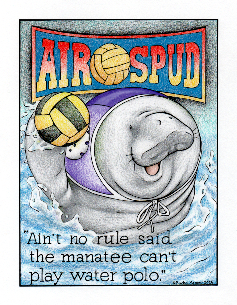 Air Spud