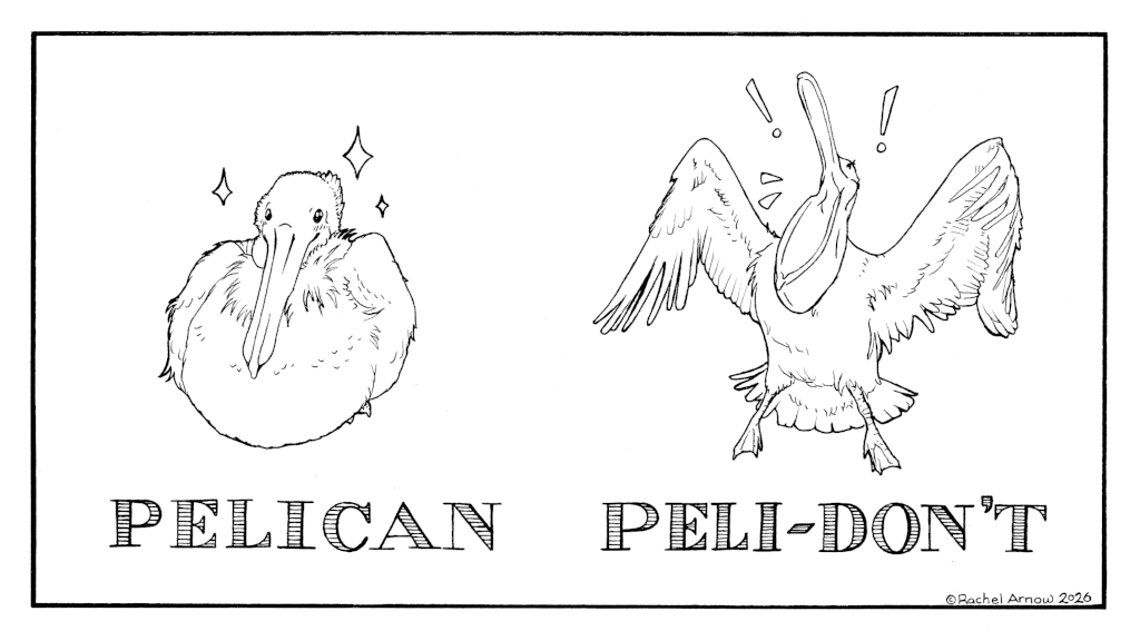 Pelican’t
