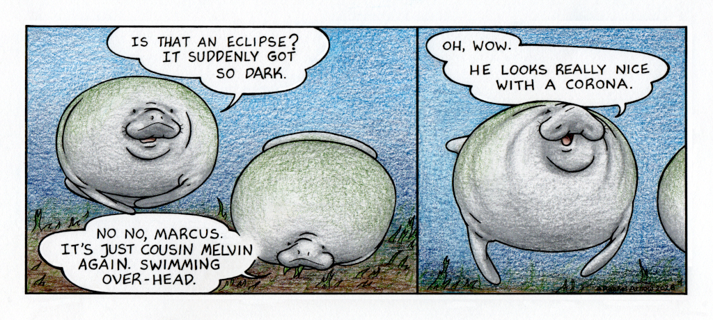 Another Eclipse